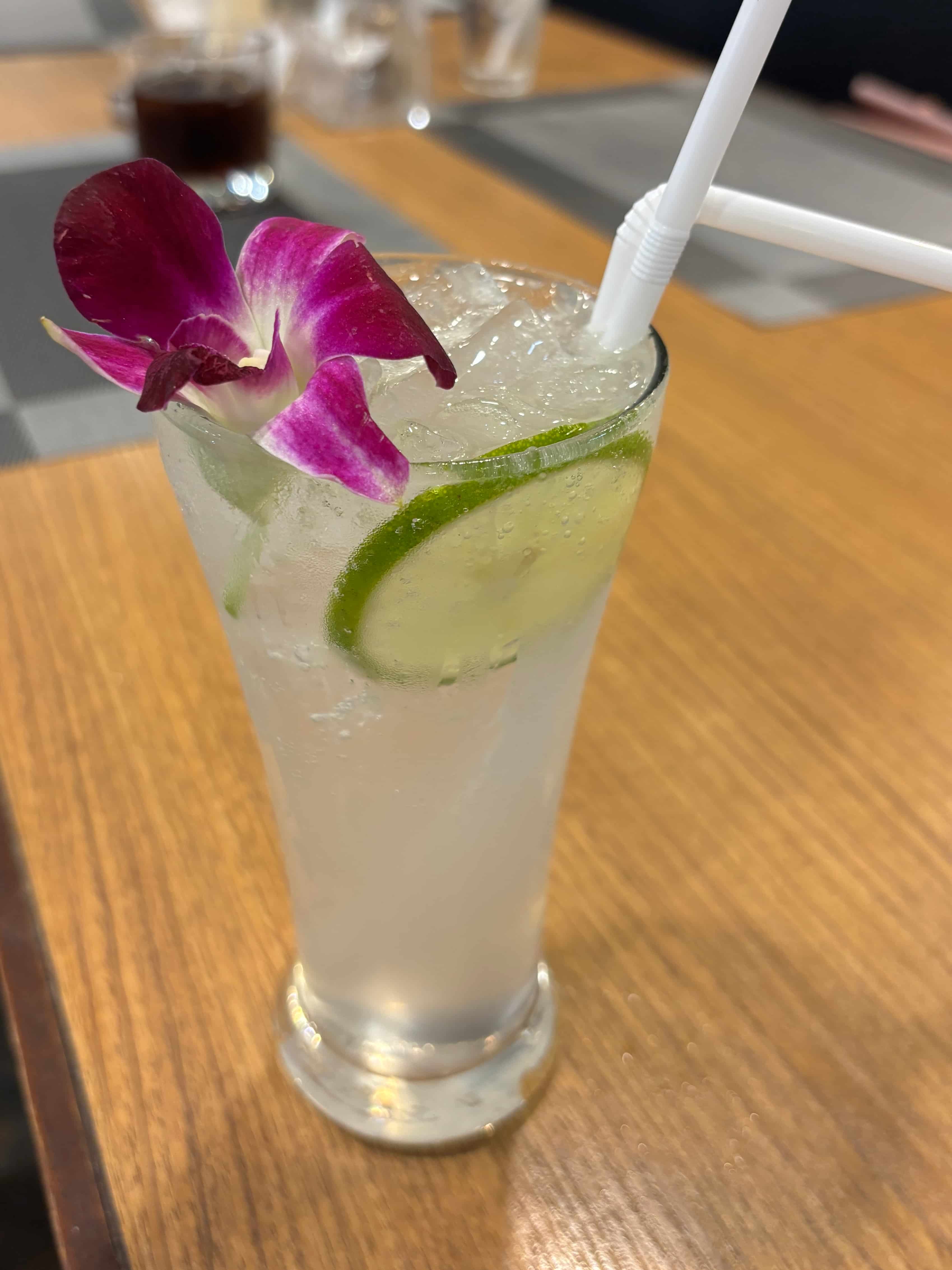 vodka-fizz